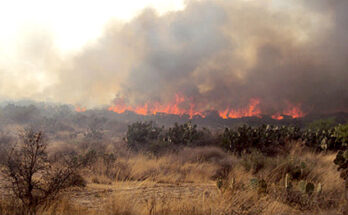 NECESARIO CONCIENTIZAR SOBRE LOS RIESGOS DE LOS INCENDIOS FORESTALES: PVEM