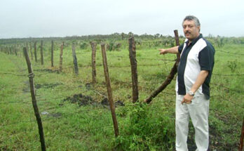 FEDERACION DEBE INVESTIGAR A FONDO APLICACIÓN DE RECURSOS PARA EL CAMPO EN SAN LUIS POTOSI: ALTAMIRANO GARCIA