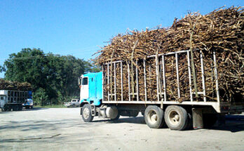 “SE VISLUMBRA COLAPSO DEL SECTOR SOCIAL Y DE TODO EL SECTOR AGROPECUARIO”