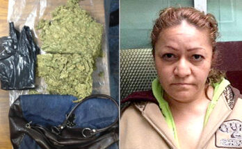 MUJER DETENIDA CON UN KILOGRAMO DE MARIHUANA EN SOLEDAD DE GRACIANO SÁNCHEZ