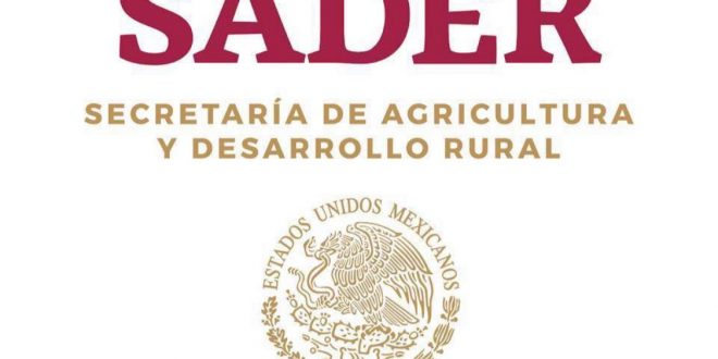 Convoca SADER a beneficiarios de Producción para el Bienestar revisar que  sus apoyos lleguen en tiempo y forma — Amanecer Huasteco